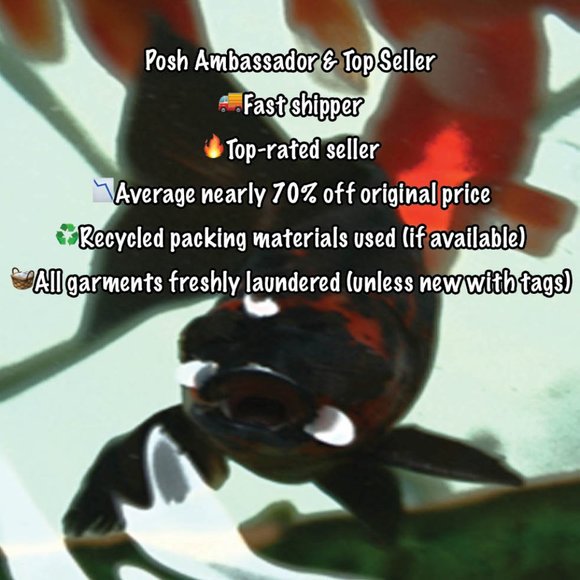 🌸6/$20🌸 Beaded Scoop Neck Shortsleeve T-Shirt - Picture 6 of 6